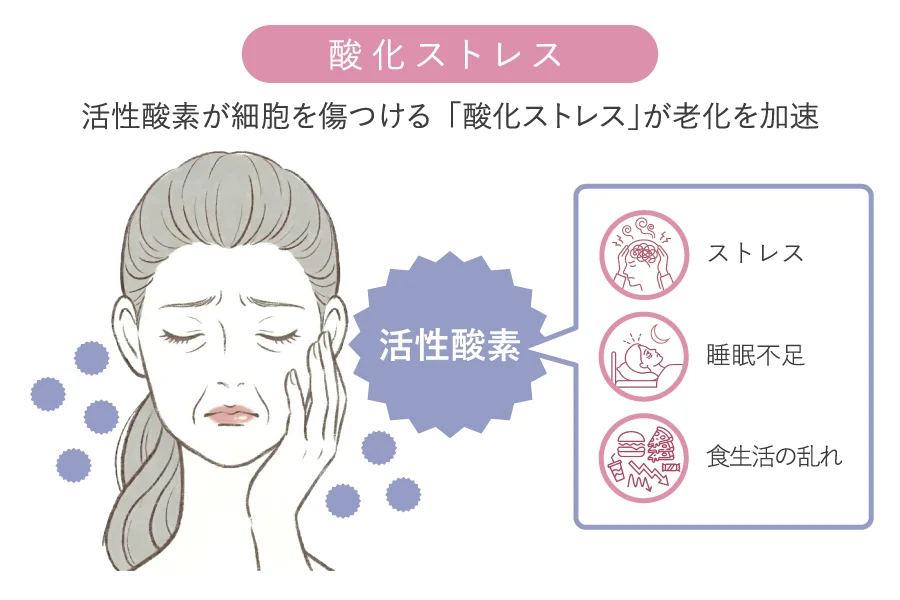 酸化ストレスと慢性疲労による細胞レベルの老化