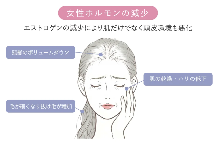 女性ホルモンの減少による肌と髪への影響