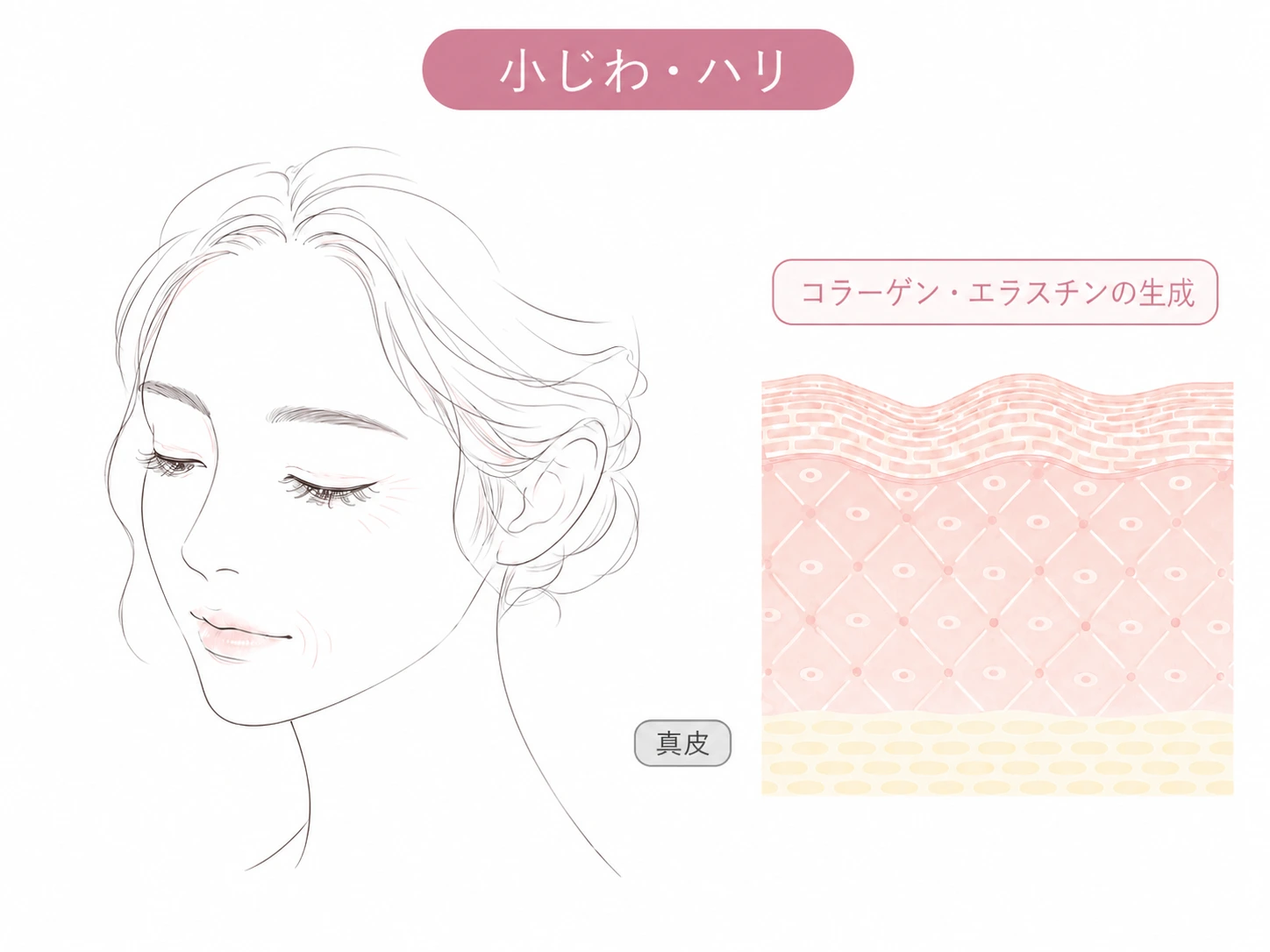 ハリ・ボリューム不足のお悩みイメージイラスト