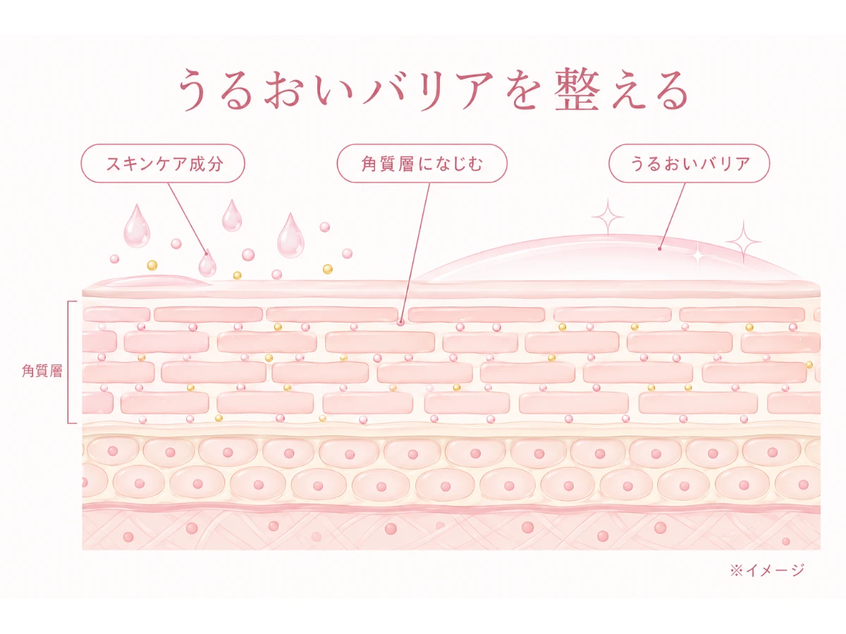 スキンケア成分が角層になじみ、うるおいのバリアを整える仕組みをラベル付きで示した肌断面の解説図（人物なし）