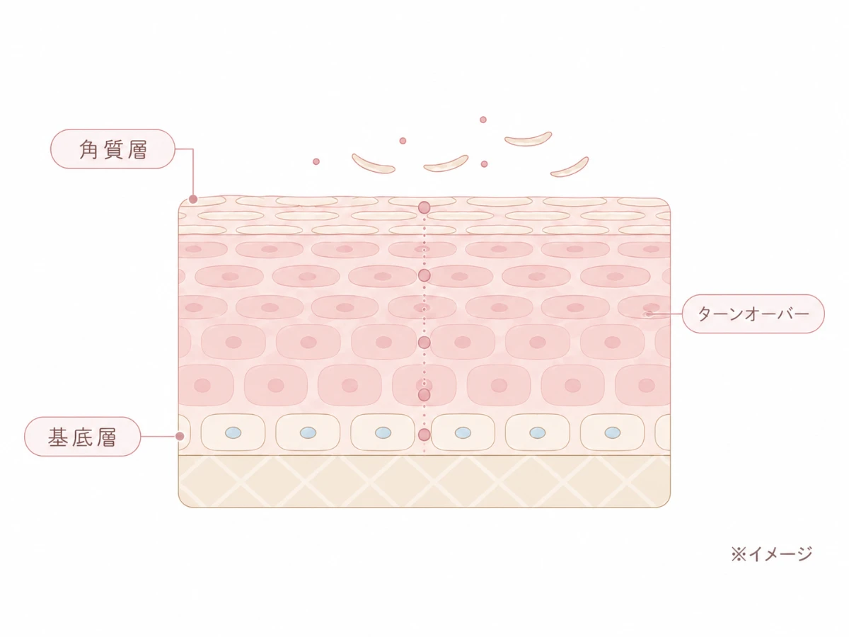 薬剤をマッサージしながら真皮に浸透させる施術のイメージイラスト