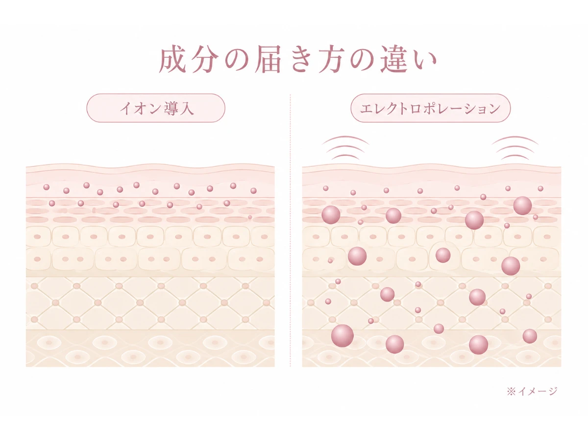 イオン導入とエレクトロポレーションで届く成分の大きさ・深さの違いを並べた比較断面図