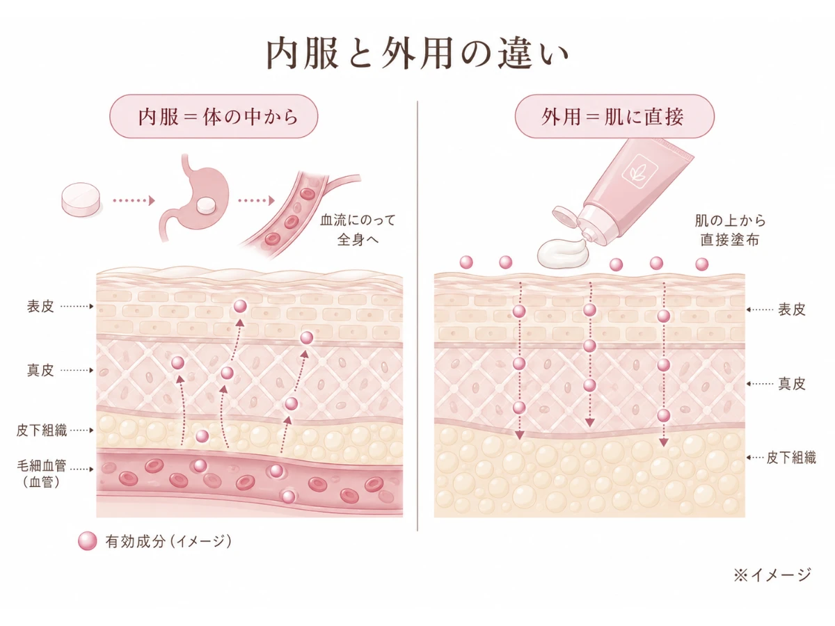 内服は体の中から・外用は肌に直接という届き方の違いを示した概念図