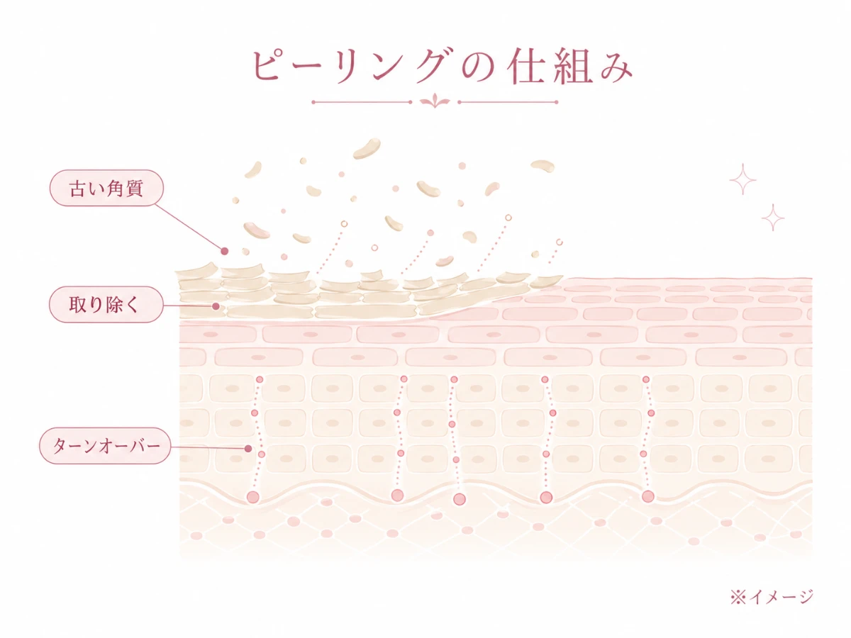 肌表面の古い角質が取り除かれ、ターンオーバーが整っていく仕組みを示した断面解説図