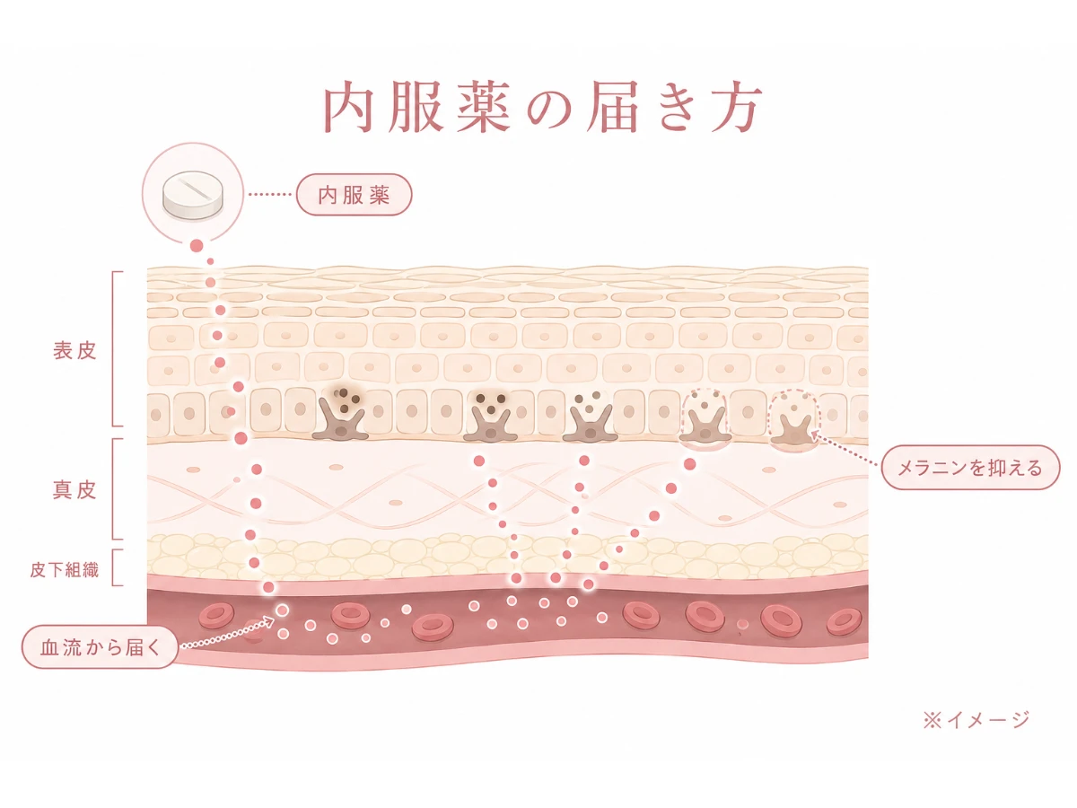 内服薬が血流から肌に届きメラニンの生成を抑える仕組みの解説図