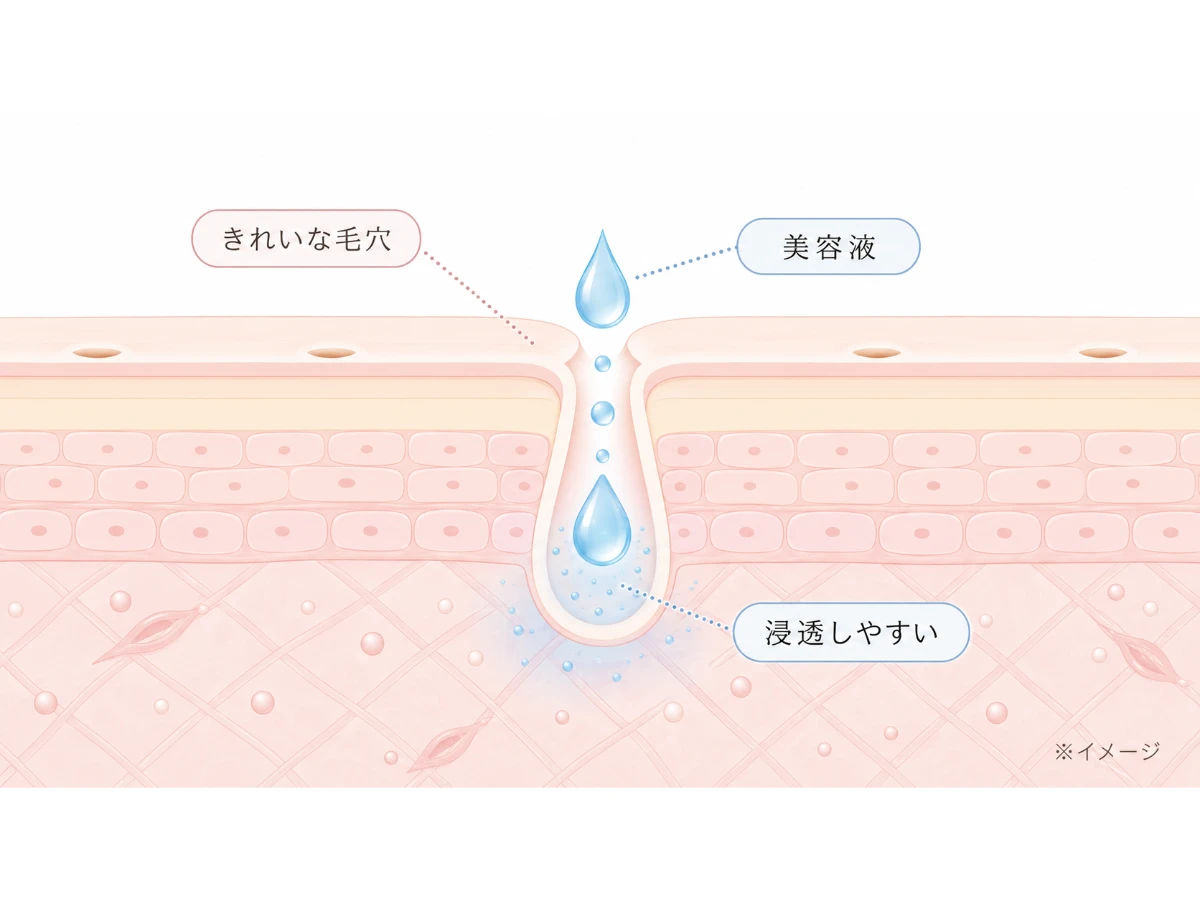 洗浄後の毛穴に美容液（しずく）が届く様子を示した肌断面のイメージイラスト