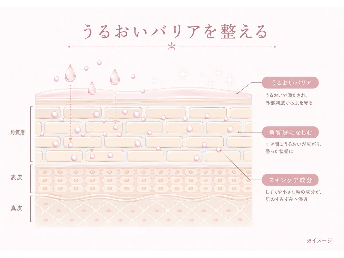 スキンケア成分が角層になじみ、うるおいのバリアを整える仕組みをラベル付きで示した肌断面の解説図