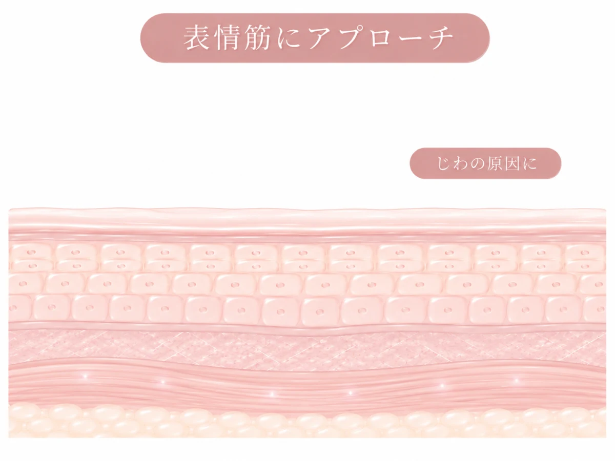 特徴カード／顔の概念線画に眉間・額・目尻の表情じわをピルで示した図