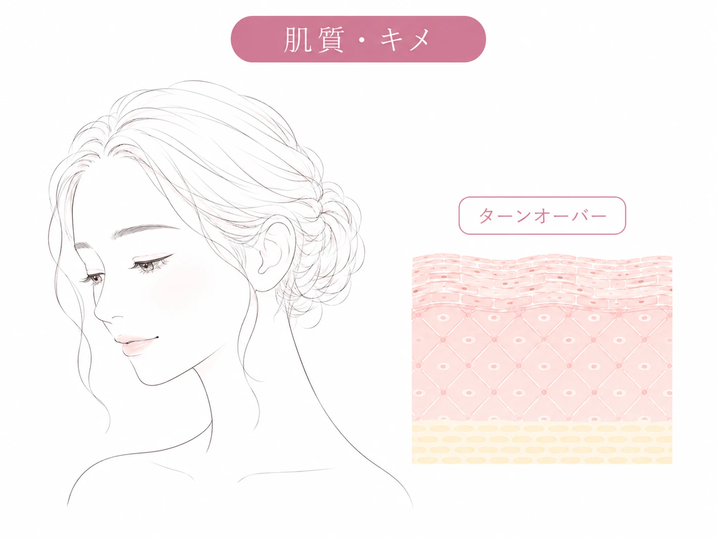 肌質・キメのイメージイラスト