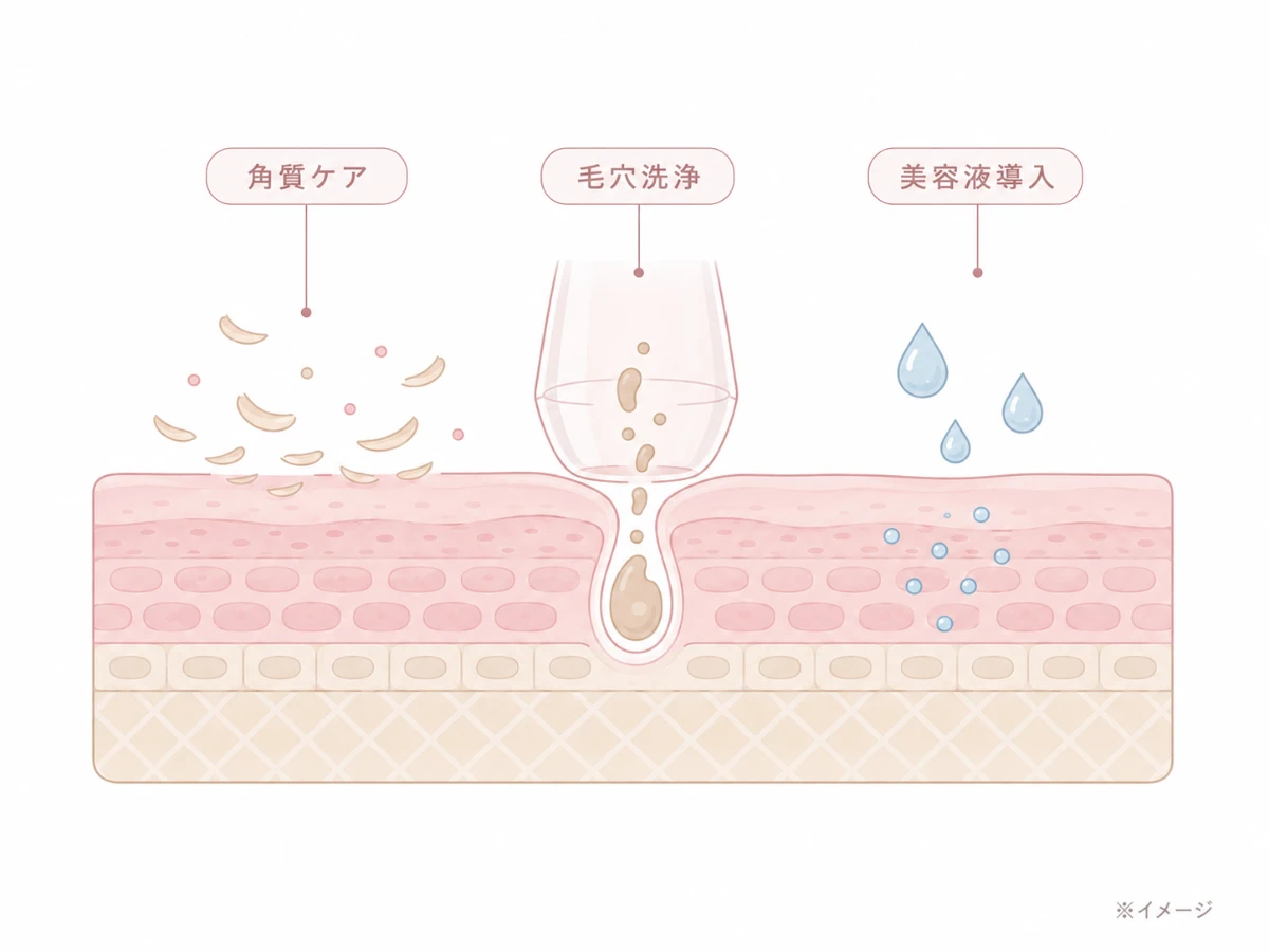 角質ケア・毛穴洗浄・美容液導入の3つのケアを示した肌断面のイメージイラスト