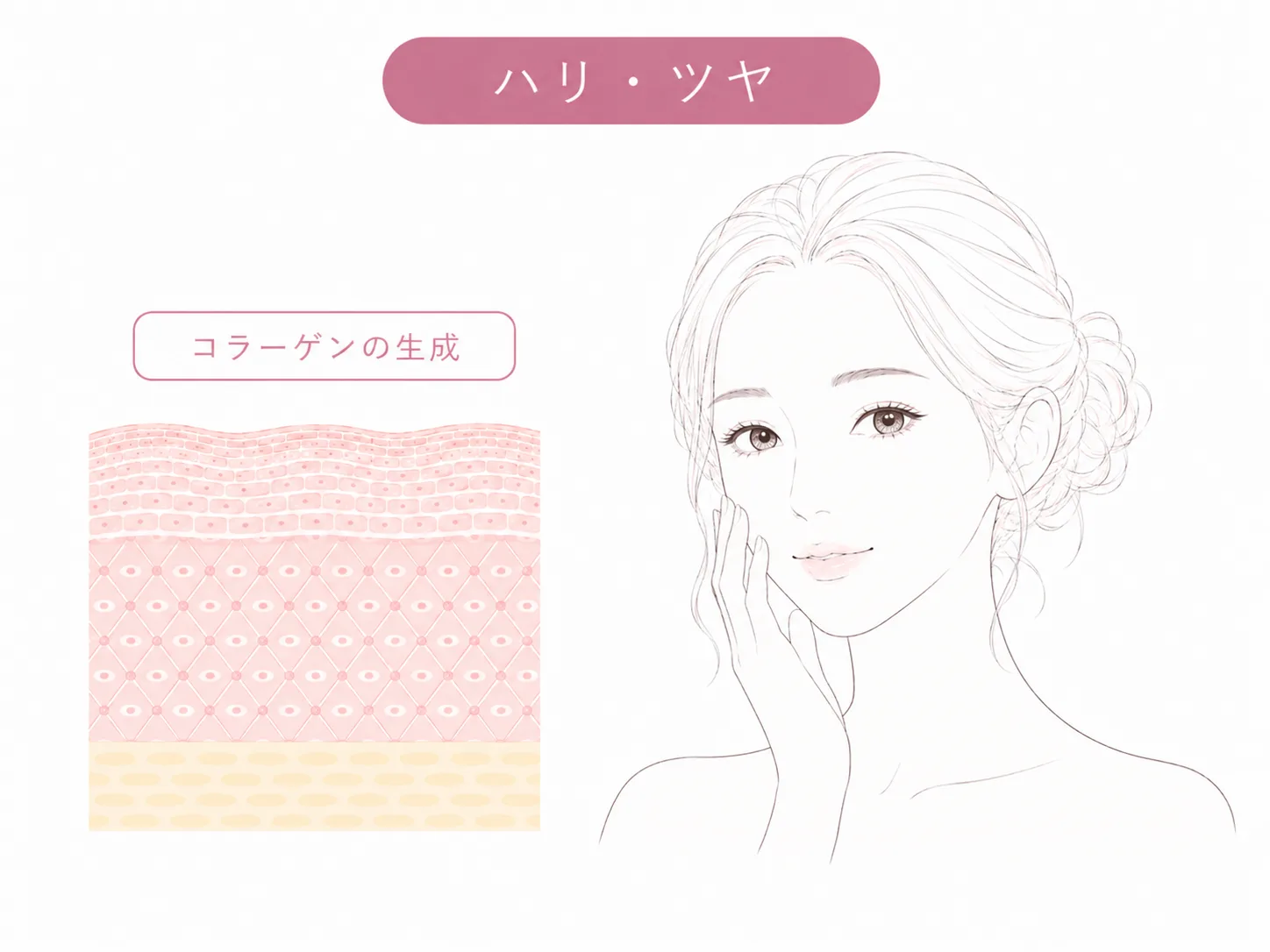 肌のハリ・ツヤのお悩みイメージイラスト
